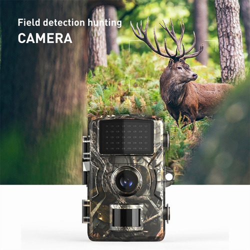 Câmera De Trilha De Caça Vida Selvagem Câmera De Visão Notur