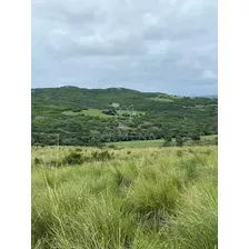 Campo En Paso De La Cantera 