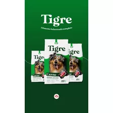 Alimento Para Perro Adulto Tigre X 22 Kilos