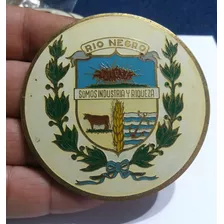 Chapa Pintada Bronce Con Escudo Departamental De Río Negro