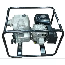 Motobomba De Agua Briggs Stratton 9hp 305cc Lea Descripcion