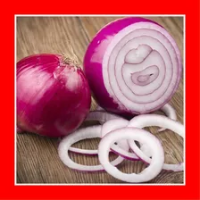 40 Sementes De Cebola Red Grano Onion Para Mudas