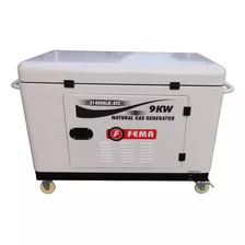 Generador Fema 9 Kw- A Gas Natural- 20hp- Trifasico