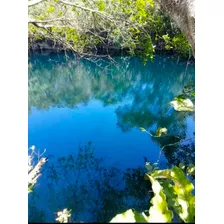 Venta De Rancho Ganadero En Buctzoz, Con Cenotes Y Aguadas