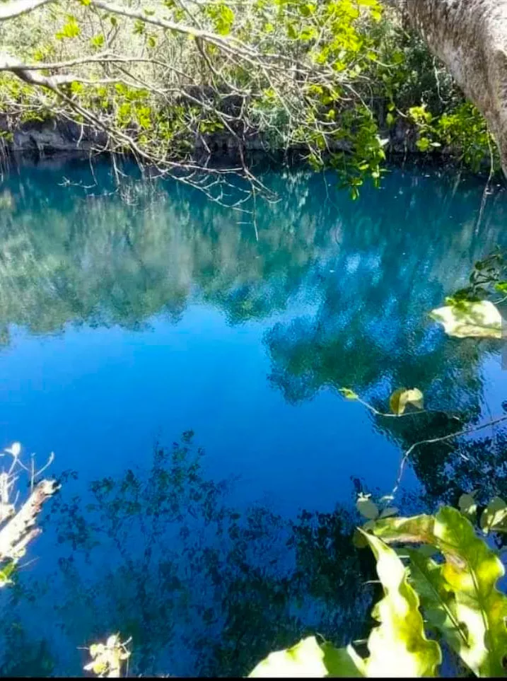 Venta De Rancho Ganadero En Buctzoz, Con Cenotes Y Aguadas