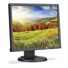 Nec Ea193mi 19 Led Backlit Ips Lcd Monitor