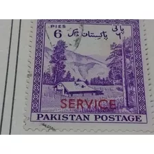 Estampilla Pakistan 1904 A1