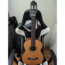 Guitarra Clásica Walden N550 E, Electroacústica 