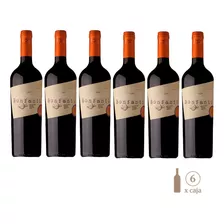 Vino Familia Bonfanti Malbec Joven (6 Botellas X 750cc)