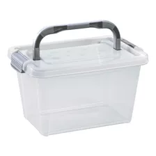 Caja Con Manija Organizadora De 3.5 Lts Rimax LG