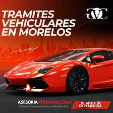Gestoria Vehicular Profesional En Morelos