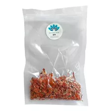 Cornalina Molida 100g