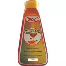 Mel Puro De Abelha Silvestre Bisnaga 500g 