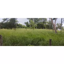 Fazenda De 36 Alqueires No Município De Filadélfia