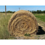 Segunda imagen para búsqueda de rollos de alfalfa en lujan