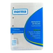 Hojas Para Folder Tamaño Mediano 95 Cuadriculado Norma
