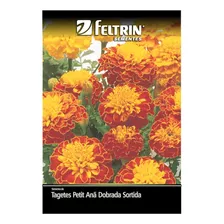 Semente Flor Tagetes Petit Ana Dobrada Sortida - Feltrin