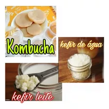  Kefir De Leite + Scoby Kombucha + Kefir De Água + Manual