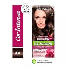 Garnier Cor Intensa Kit Coloración Permnente Hidratante 4.0 Castaño