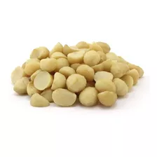 Macadamia 500g Crua S/sal - Donna Cereais 