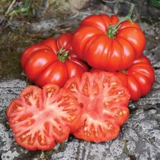 Mix Semilla Tomate Italiano Costulo Genovese Y Canestrino