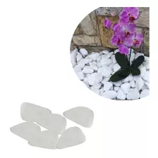 Seixo Mármore Branco N°6 Jardim Decoração Plantas 1kg