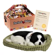 Pelúcia Border Collie Adult - Perfect Petzzz