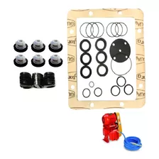 Kit Reparo Lavadora Wayne Lu 3401 Mod 3 Pistão