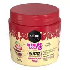 Mascara De Hidratacion Vinagre De Manzana Salon Line