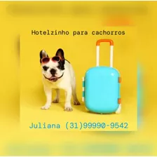 Divercão Pet House (hotel E Creche Para Cachorros) Bh