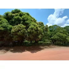 Terreno, Teresina Pi ( Loteamento Árvores Verdes)