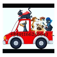 Vía Animal - Transporte De Mascotas - Traslados Al Interior