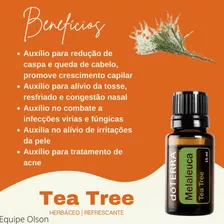 Óleo Essencial 100% Puro Melaleuca 15ml Tea Tree