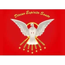 Bandeira Divino Espírito Santo 7 Dons Fundo Vermel 1x1,45m 