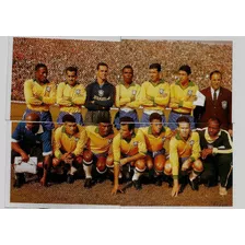 Figurinhas Seleção Brasileira 1958 Equipe Com Garrincha