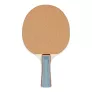 Paleta De Tenis De Mesa Champion Sports Pn2