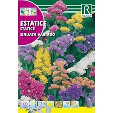 Sobre De Semilla Estatice Sinuata Variado 1 Grs