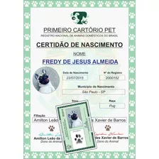 Kit Completo Rg Pet Certidão Nascimento Chaveiro Placa Pet