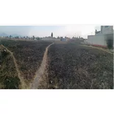 Terreno En La Constitucion Toltoltepec 