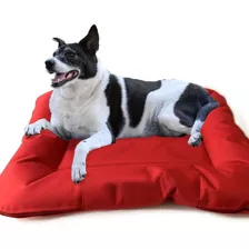 Cama Colchones Moises Perros Gato Durabilidad Calidad Diseño