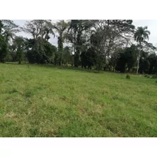 Vendo Esta Finca De 100 Tareas En Monte Plata