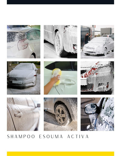 Shampoo Espuma Activa Para Auto Foto 3