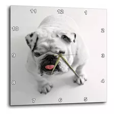 Florene  perro  impresión De Cute Bulldog Sobre .