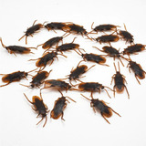 Broma Cucaracha Realista Insectos Desagradables X2 Y A