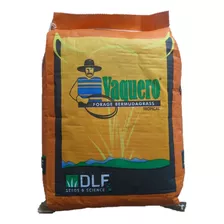 Sementes De Capim Vaquero - Pacote Com 5 Kg