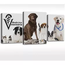 Quadro Decorativo Clínica Veterinaria Vet Cachorrinhos