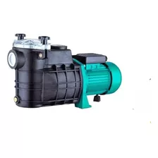 Electrobomba Fema Filtro Pelo 220v Pileta Piscina Centrifuga