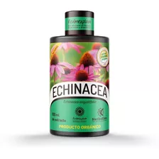 100ml De Tintura De Equinacea Purpurea 100% Orgánica