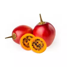 60 Sementes Fruta Tamarilho Tomate De Arvore Carta P/ Mudas