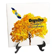 Quadro Azulejo Bandeira Orgulho De Ser De Campo Grande